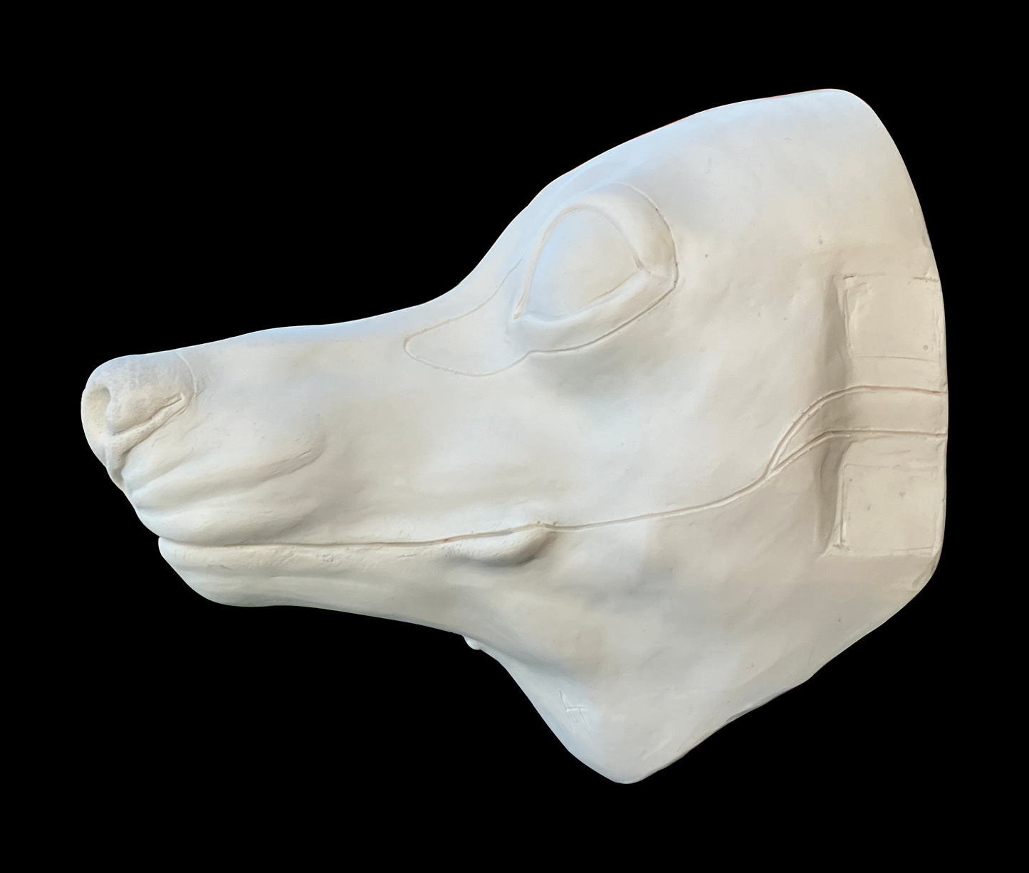 DIY FULL SET realistic small canine resin head base with accessories / ideal for small domestic dog raccoon dog fennec fox fursuit and cosplay mask