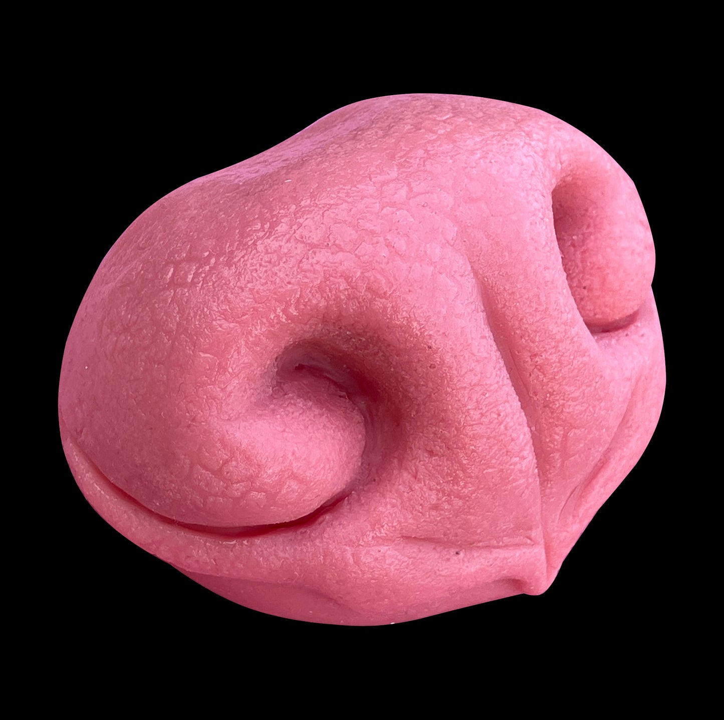 DIY FULL SET realistic small canine resin head base with accessories / ideal for small domestic dog raccoon dog fennec fox fursuit and cosplay mask