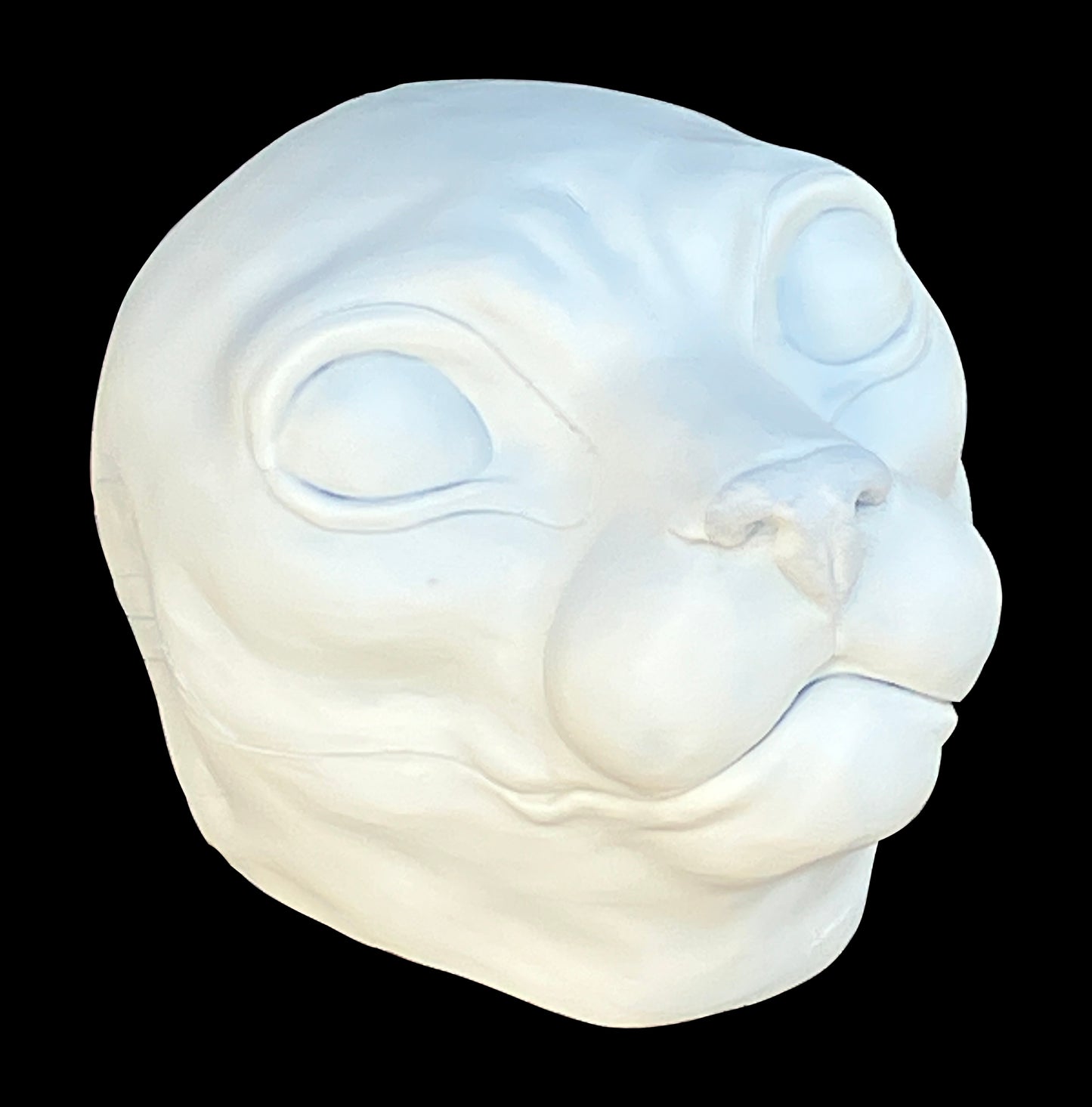 DIY FULL SET realistic domestic shorthair cat (small feline) resin head base with accessories / ideal for domestic cat lynx khajiit fursuit and cosplay mask