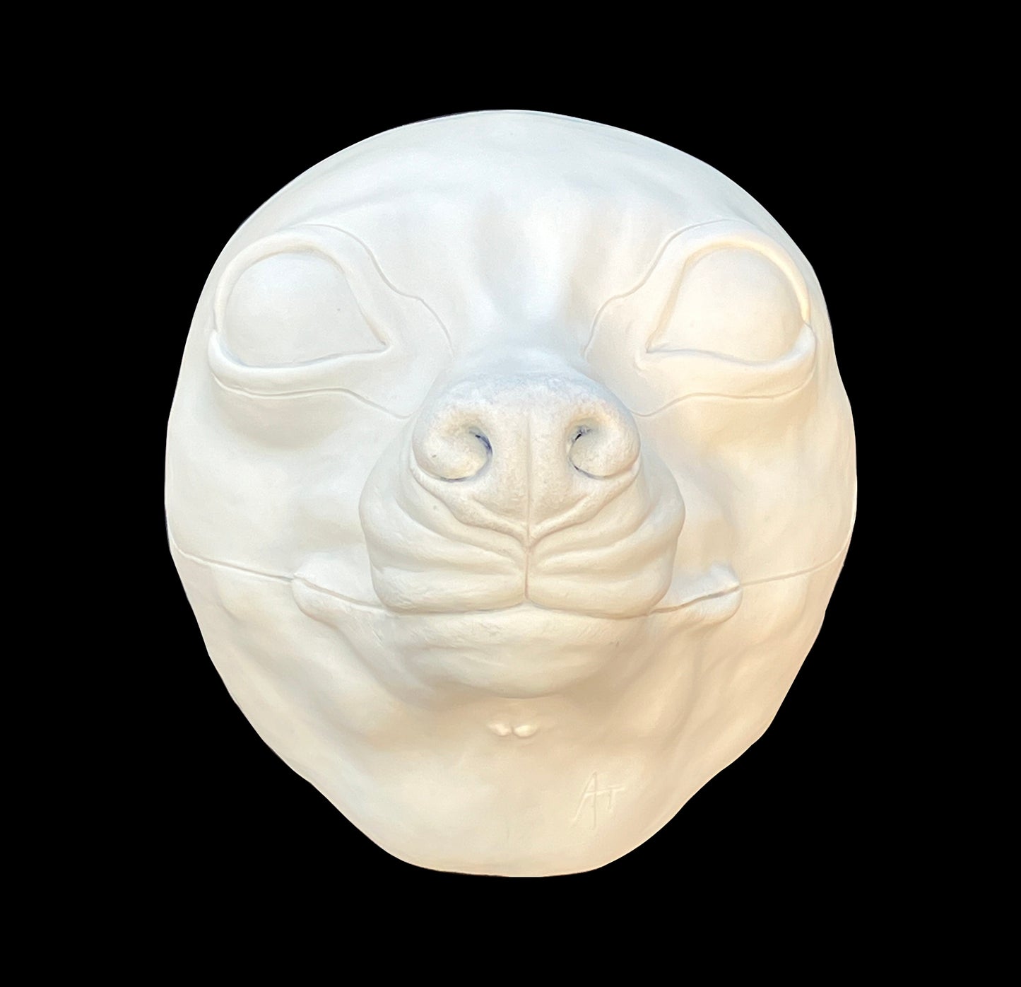 Realistic small canine resin head base / ideal for small domestic dog raccoon dog fennec fox fursuit and cosplay mask
