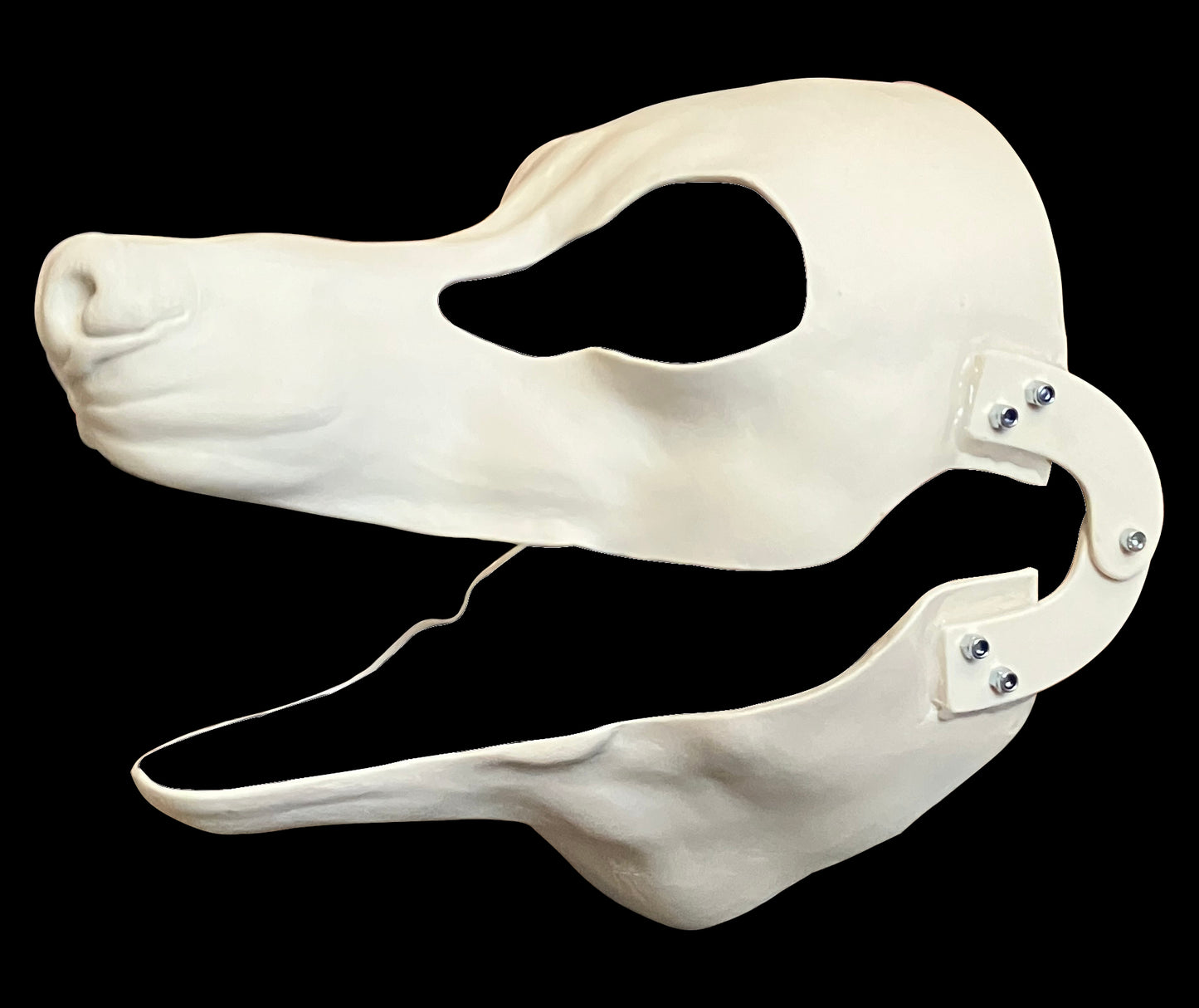 DIY FULL SET realistic small canine resin head base with accessories / ideal for small domestic dog raccoon dog fennec fox fursuit and cosplay mask