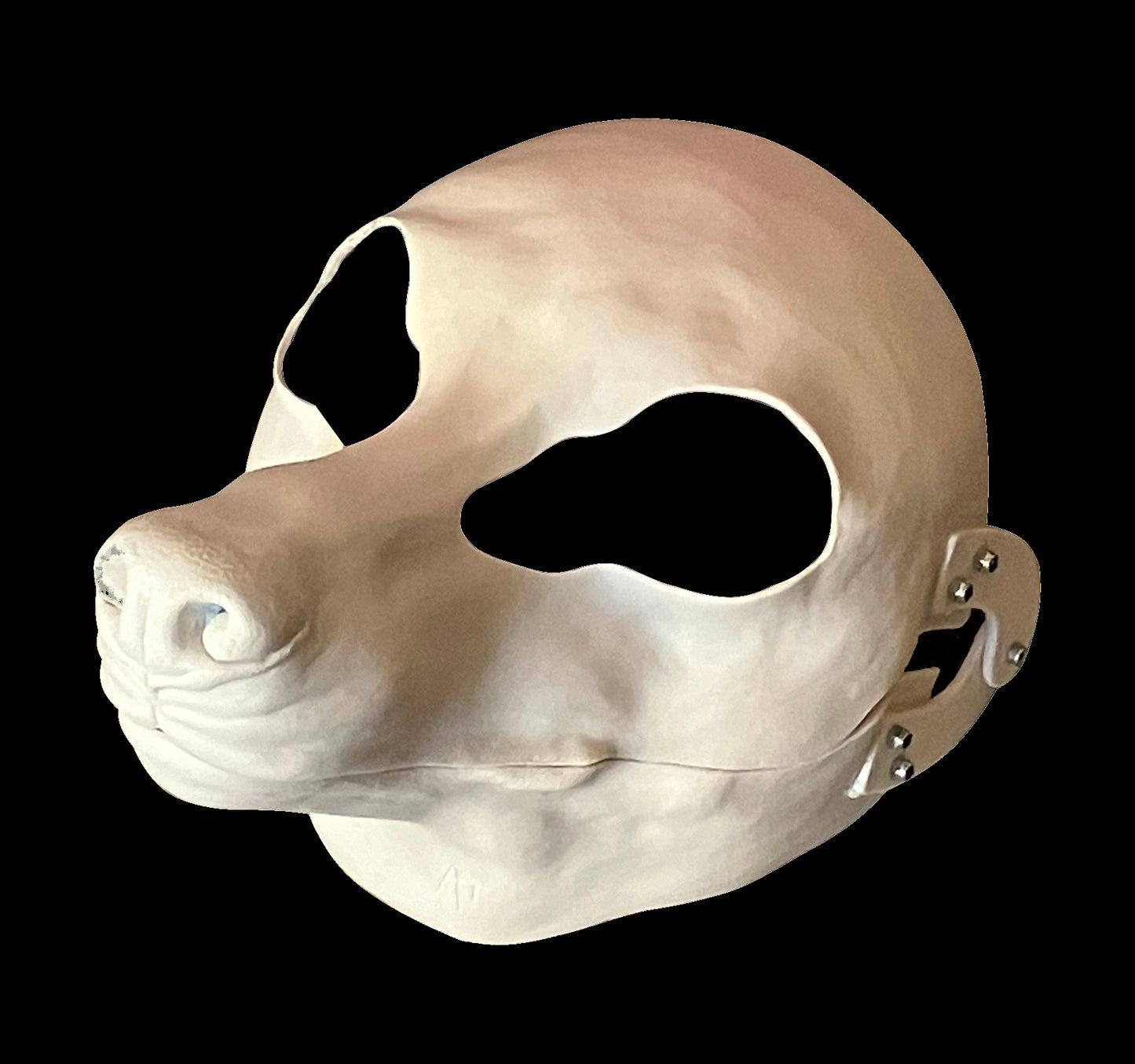DIY FULL SET realistic small canine resin head base with accessories / ideal for small domestic dog raccoon dog fennec fox fursuit and cosplay mask