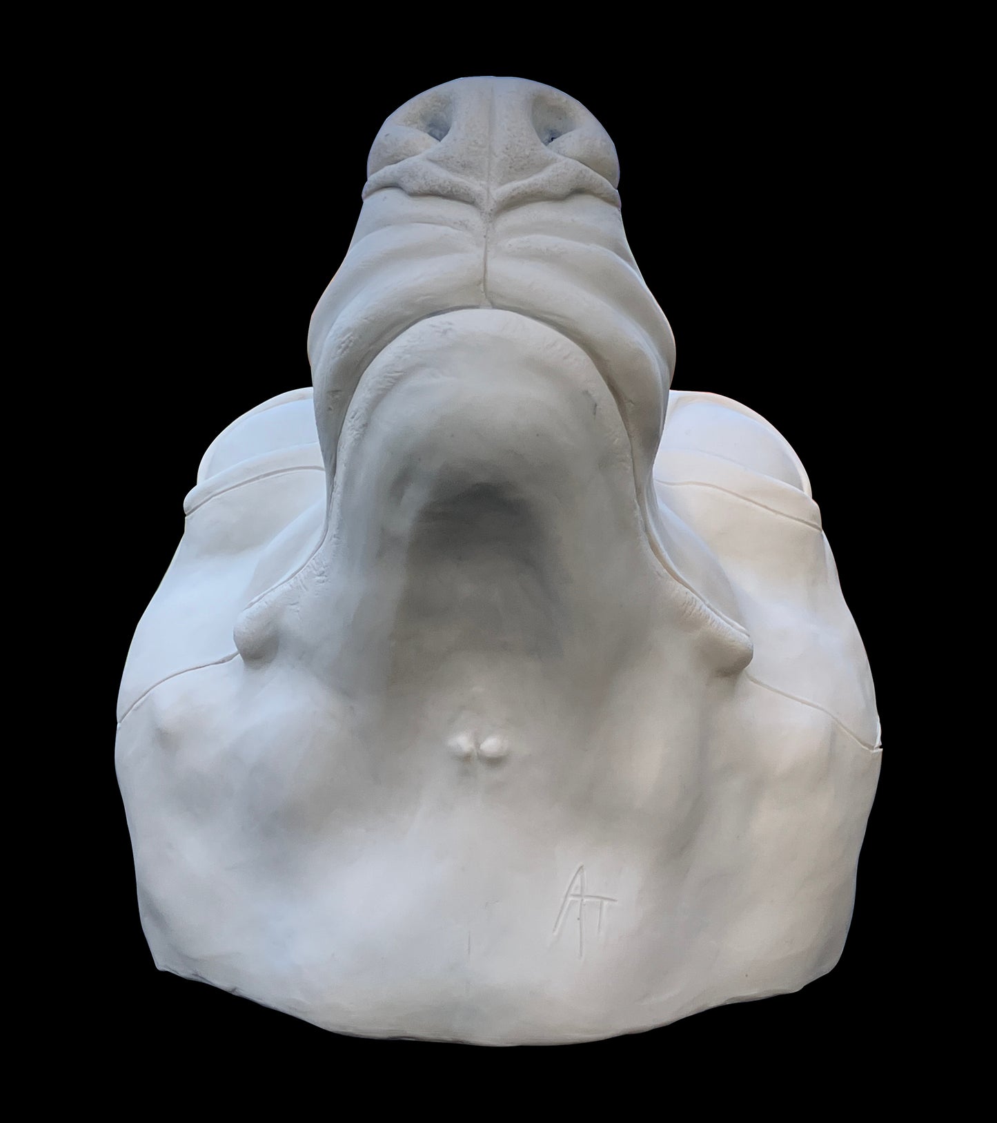 Realistic small canine resin head base / ideal for small domestic dog raccoon dog fennec fox fursuit and cosplay mask