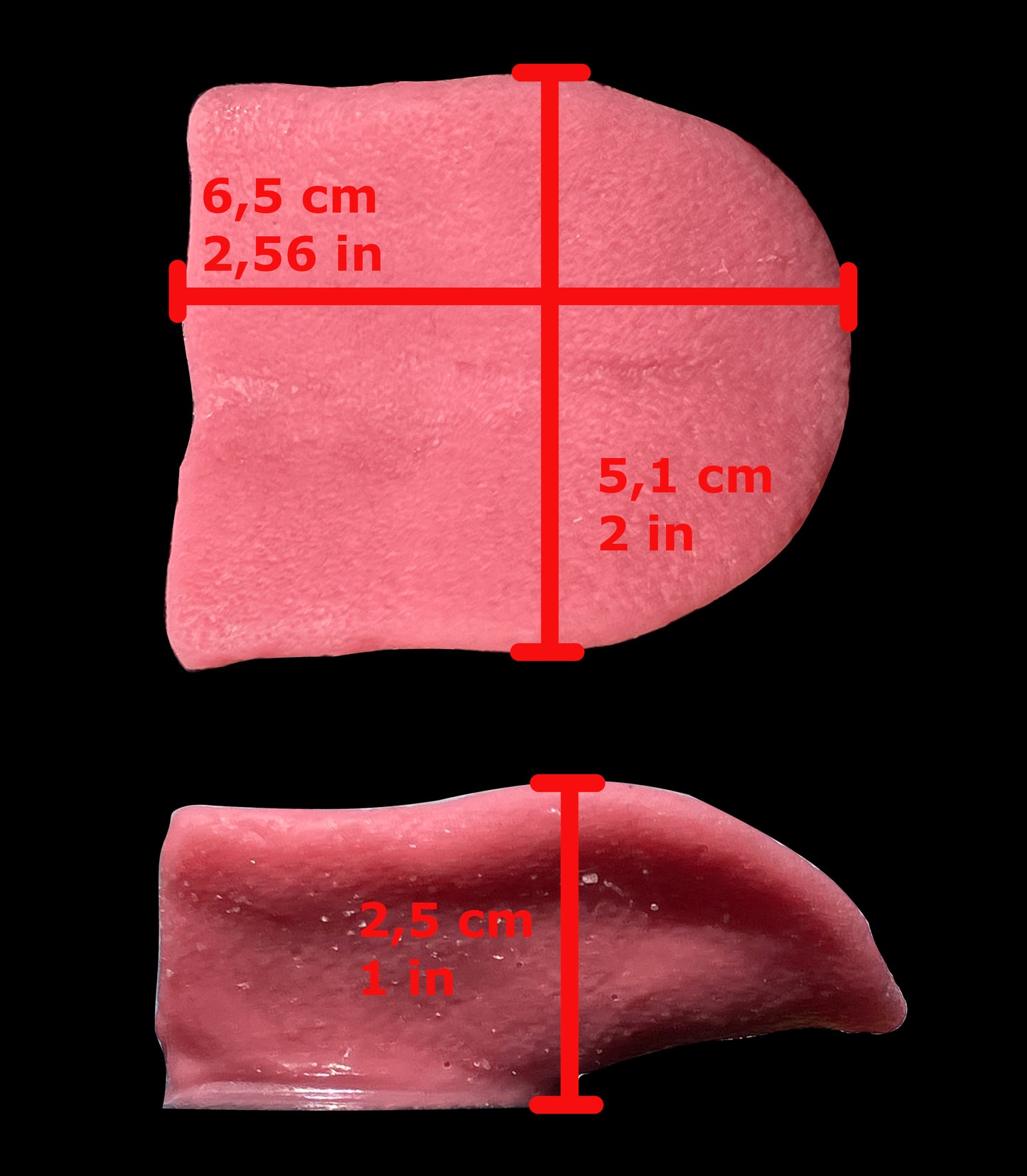 Realistic small feline silicone short snout tongue / ideal for domestic cat persian cat lynx khajiit fursuit and cosplay mask