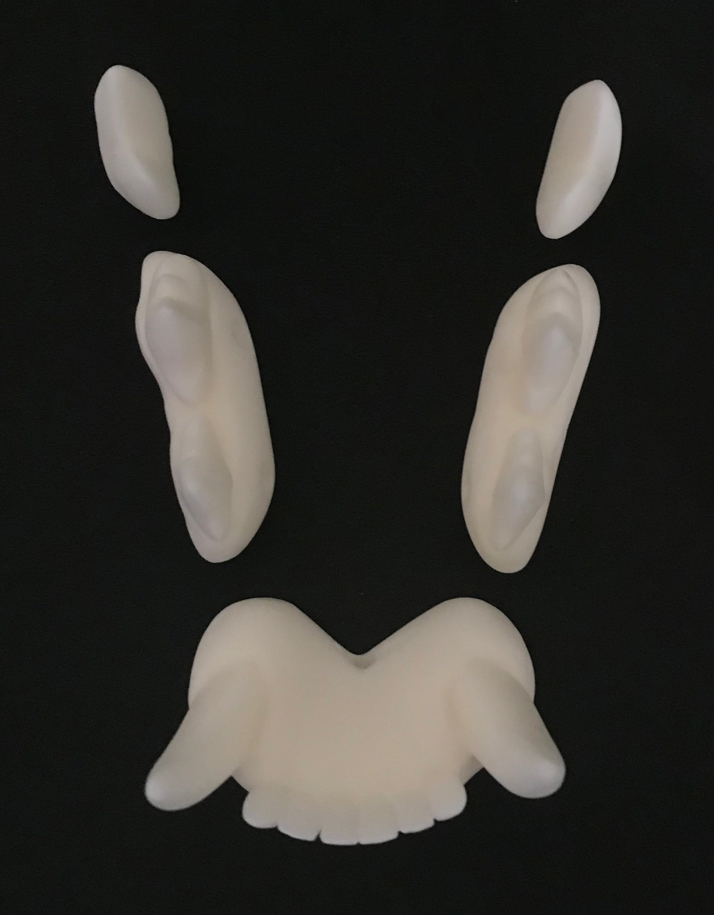 Realistic small feline resin teeth / ideal for domestic cat persian cat lynx khajiit fursuit and cosplay mask