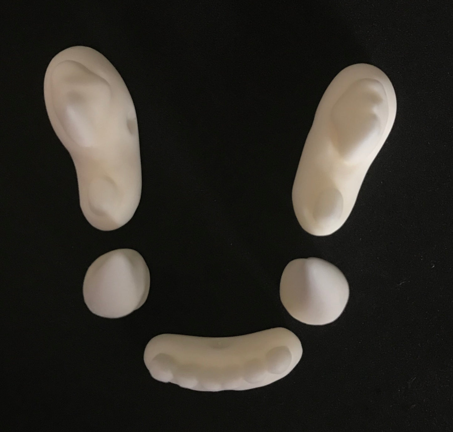 Realistic small feline resin teeth / ideal for domestic cat persian cat lynx khajiit fursuit and cosplay mask