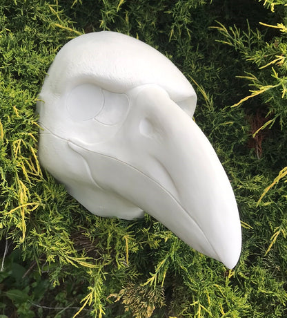 DIY FULL SET realistic corvid resin headbase with accessories / ideal for raven crow magpie jay kenku fursuit and cosplay mask