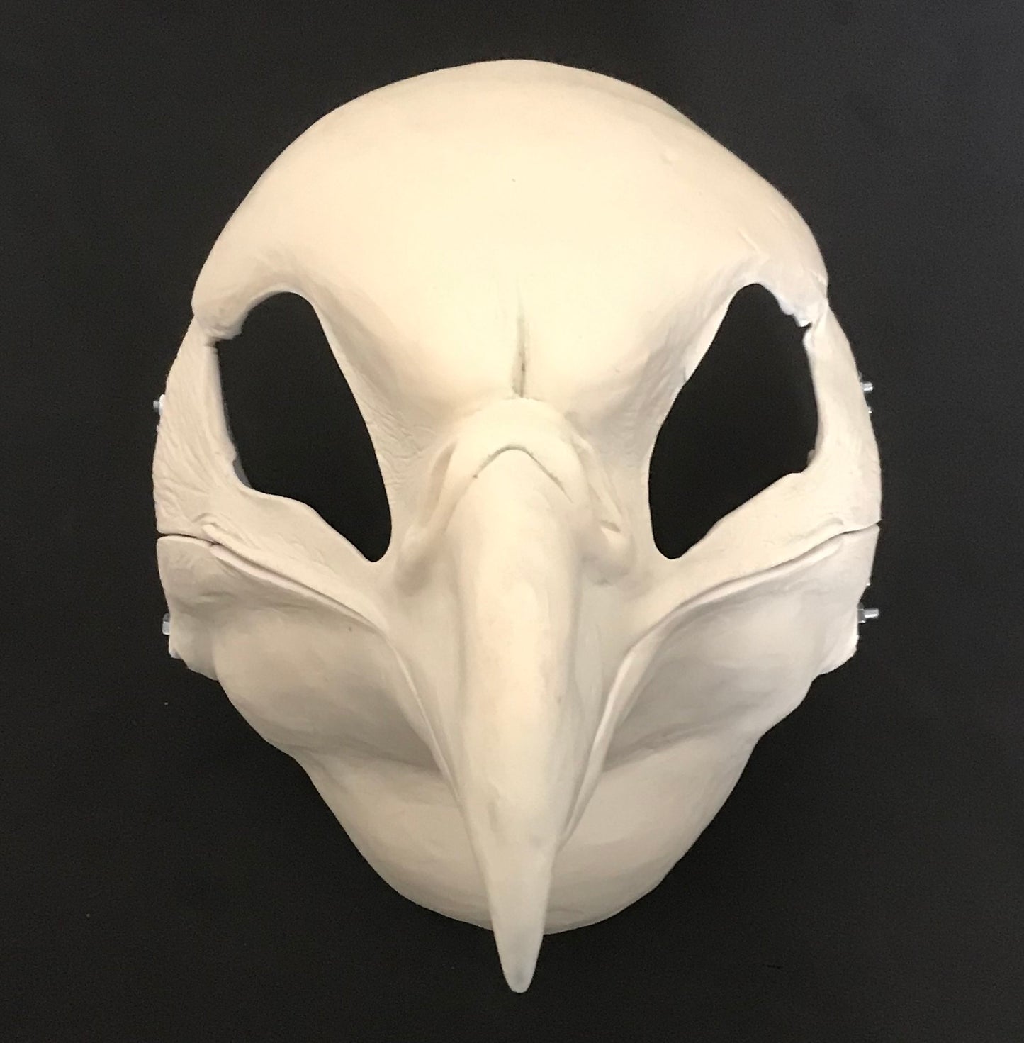 DIY FULL SET realistic secretary bird resin head base with accessories / also ideal for falcon chicken gryphon fursuit and cosplay mask