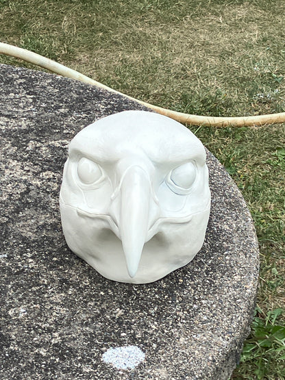 DIY FULL SET realistic eagle resin head base with accessories / also ideal for harpy hawk buzzard gryphon aarakocra fursuit and cosplay mask