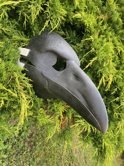 Realistic corvid resin head base / ideal for raven crow magpie jay kenku fursuit and cosplay mask