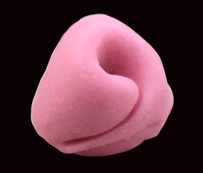 Realistic canine silicone nose / ideal for wolf dog fox fursuit and cosplay mask