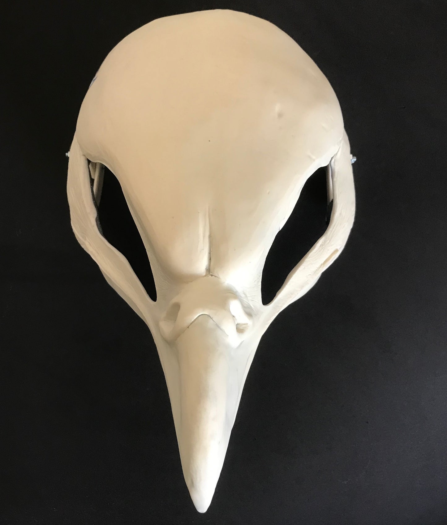 DIY FULL SET realistic secretary bird resin head base with accessories / also ideal for falcon chicken gryphon fursuit and cosplay mask