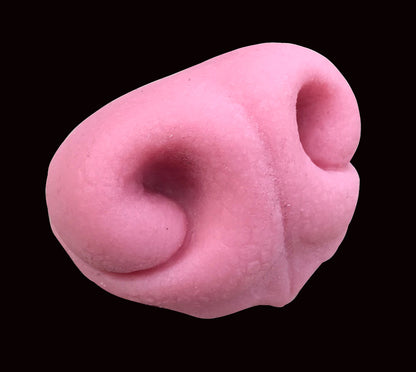 Realistic canine silicone nose / ideal for wolf dog fox fursuit and cosplay mask