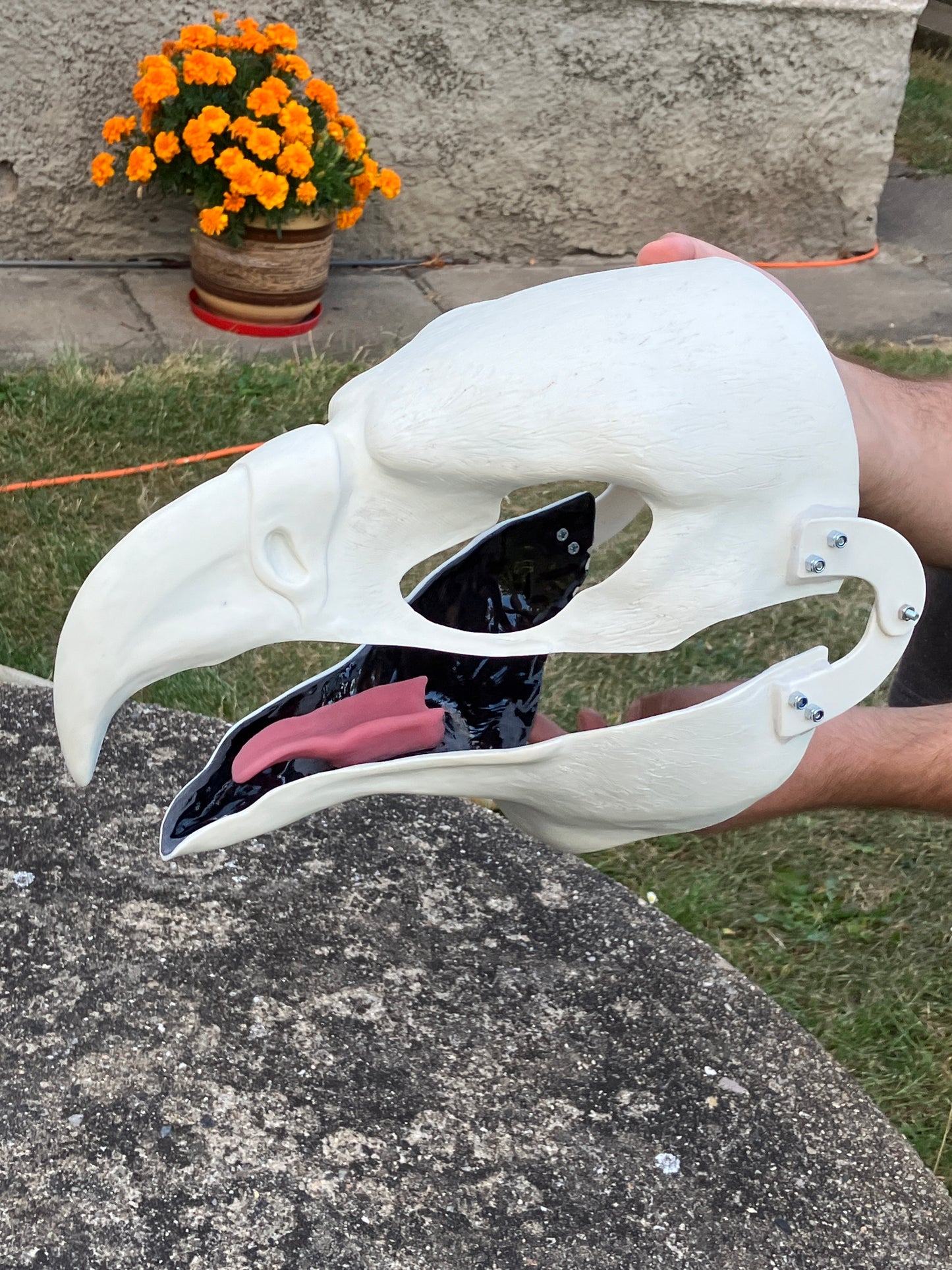 Realistic eagle resin head base / also ideal for harpy hawk buzzard gryphon aarakocra fursuit and cosplay mask