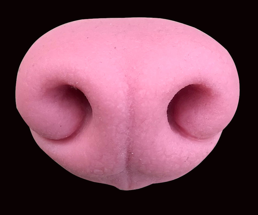 Realistic canine silicone nose / ideal for wolf dog fox fursuit and cosplay mask