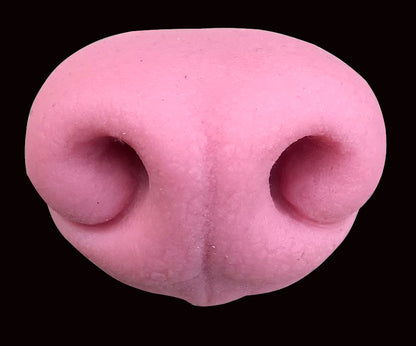 Realistic canine silicone nose / ideal for wolf dog fox fursuit and cosplay mask