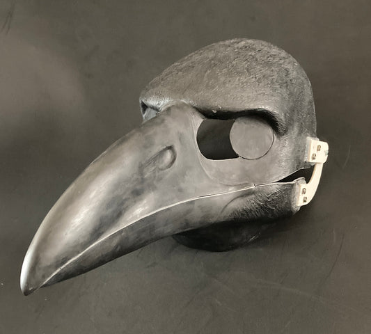 Realistic corvid resin head base / ideal for raven crow magpie jay kenku fursuit and cosplay mask