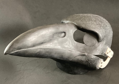 Realistic corvid resin head base / ideal for raven crow magpie jay kenku fursuit and cosplay mask