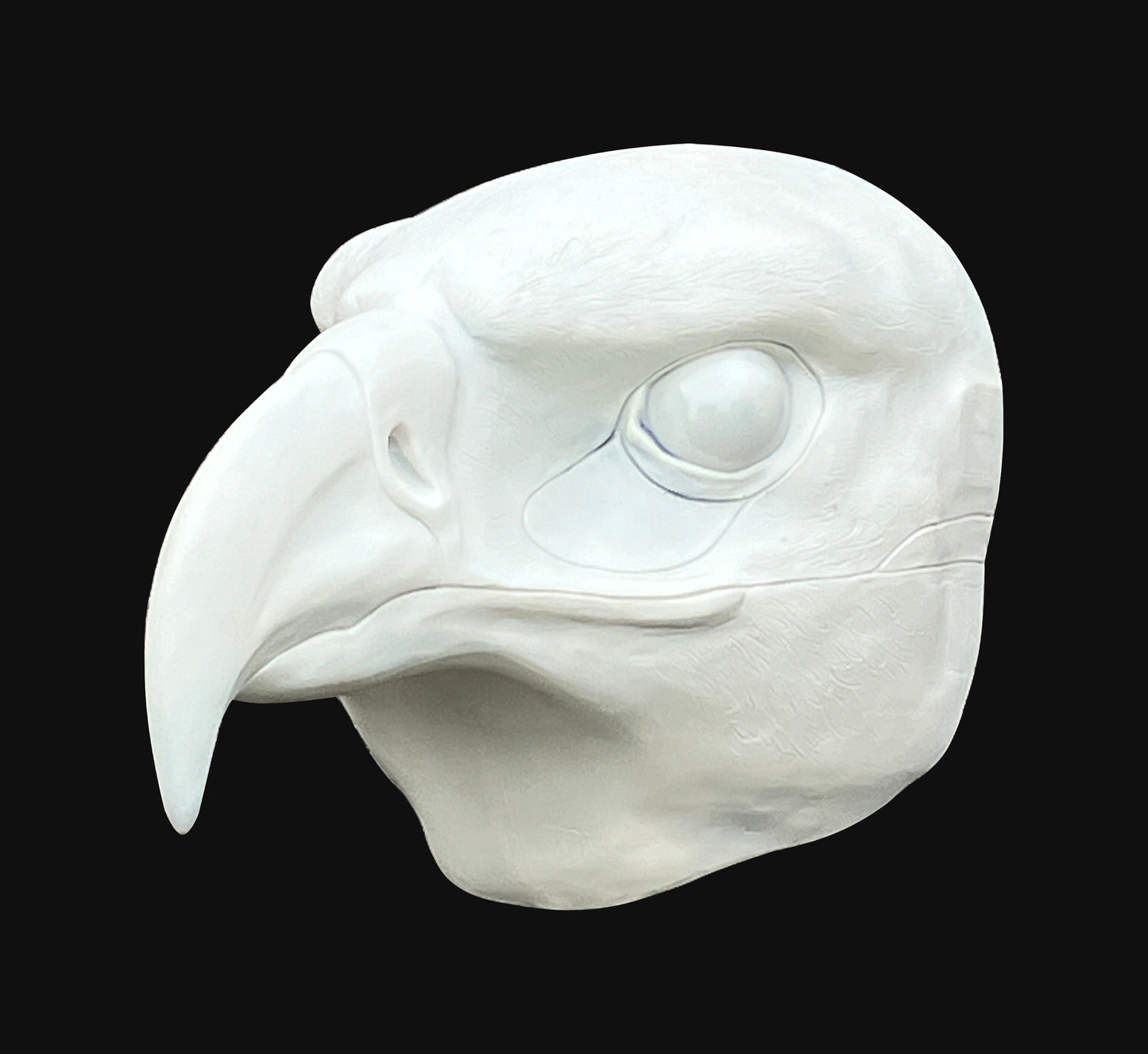 Realistic eagle resin head base / also ideal for harpy hawk buzzard gryphon aarakocra fursuit and cosplay mask