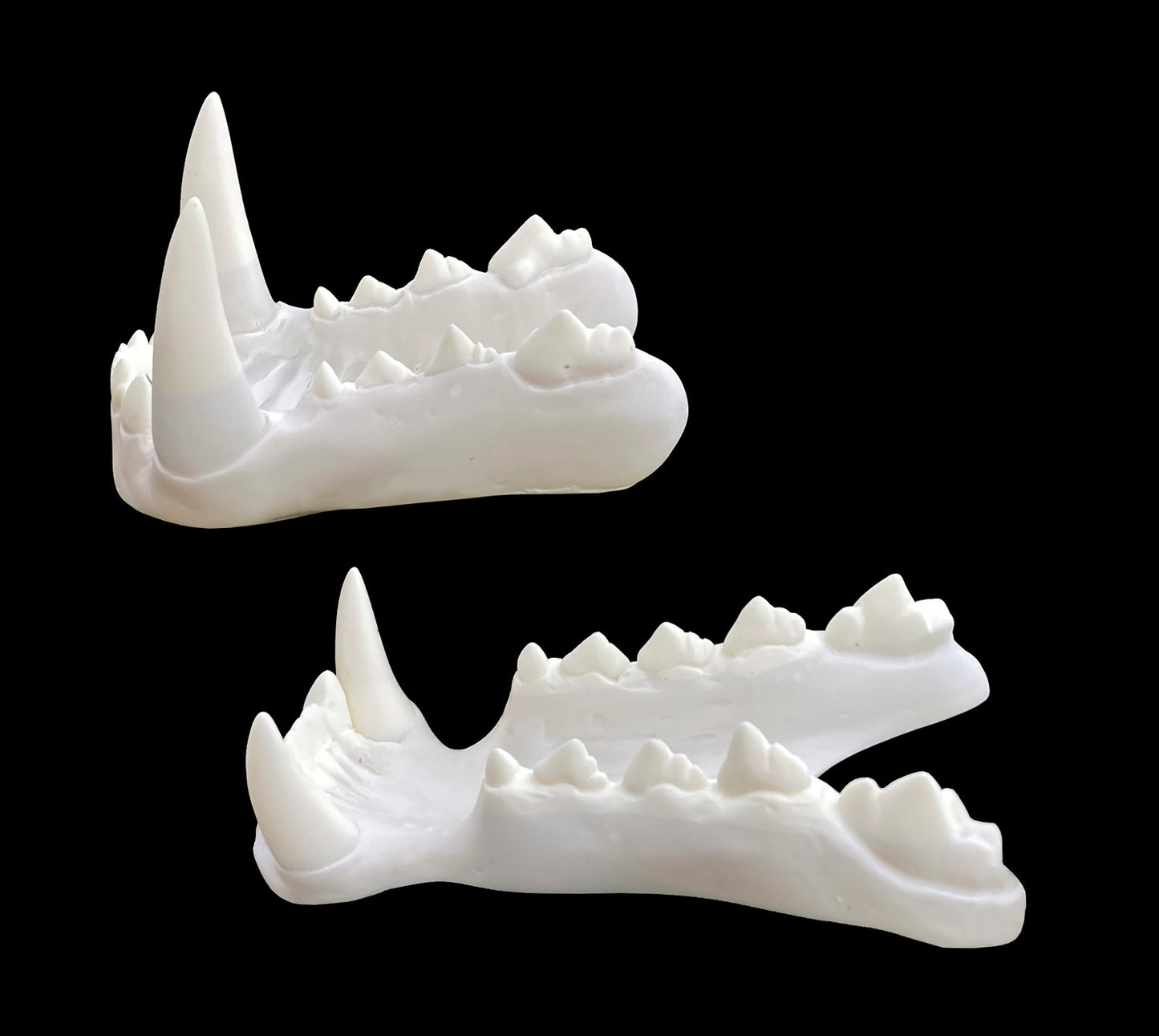 Realistic werewolf resin teeth / also ideal for similar monster fursuit and cosplay mask