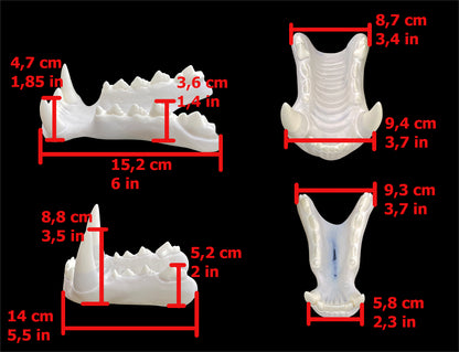 Realistic werewolf resin teeth / also ideal for similar monster fursuit and cosplay mask