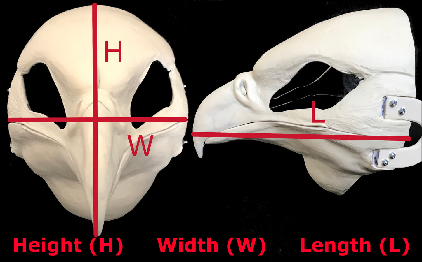 Realistic secretary bird resin head base / also ideal for falcon chicken guinea-fowl gryphon fursuit and cosplay mask