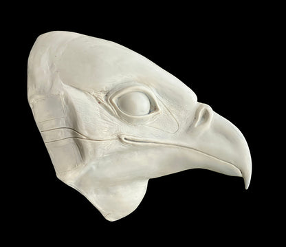 DIY FULL SET realistic secretary bird resin head base with accessories / also ideal for falcon chicken gryphon fursuit and cosplay mask