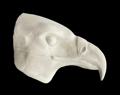 Realistic eagle resin head base / also ideal for harpy hawk buzzard gryphon aarakocra fursuit and cosplay mask