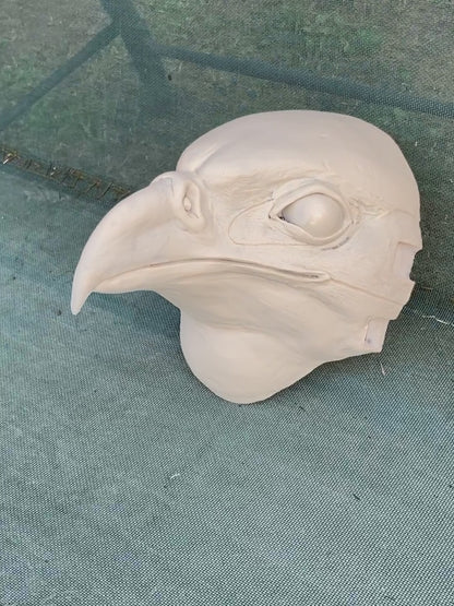 Realistic secretary bird resin head base / also ideal for falcon chicken guinea-fowl gryphon fursuit and cosplay mask