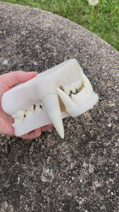 Realistic werewolf resin teeth / also ideal for similar monster fursuit and cosplay mask