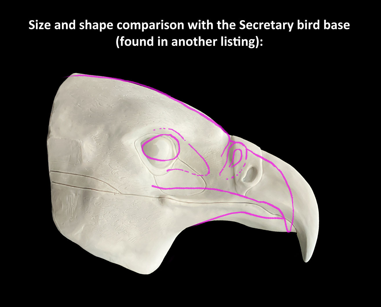 DIY FULL SET realistic eagle resin head base with accessories / also ideal for harpy hawk buzzard gryphon aarakocra fursuit and cosplay mask