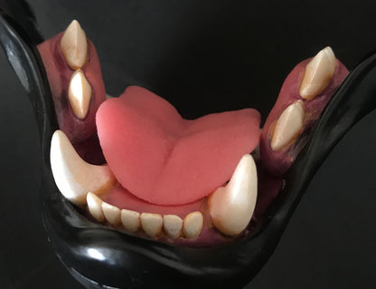 Realistic feline resin teeth / ideal for domestic cat lynx khajiit fursuit and cosplay mask